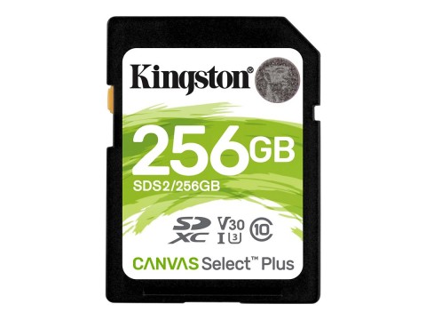 Atminties kortelė 256GB SD 10 klasė (U3) 
